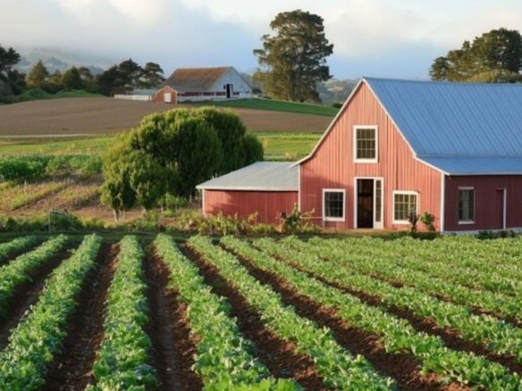 Homestead El crecimiento agrícola y residencial hacia el sur