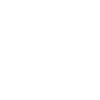 Dina-Camargo-Realtor-Logo